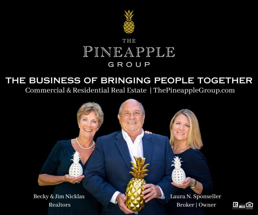 The Pineapple Group: Commercial & Residential Real Estate